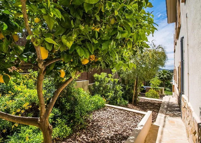 Xapala Cala Ratjada (Mallorca)