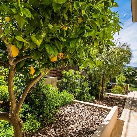 Xapala Cala Ratjada (Mallorca)